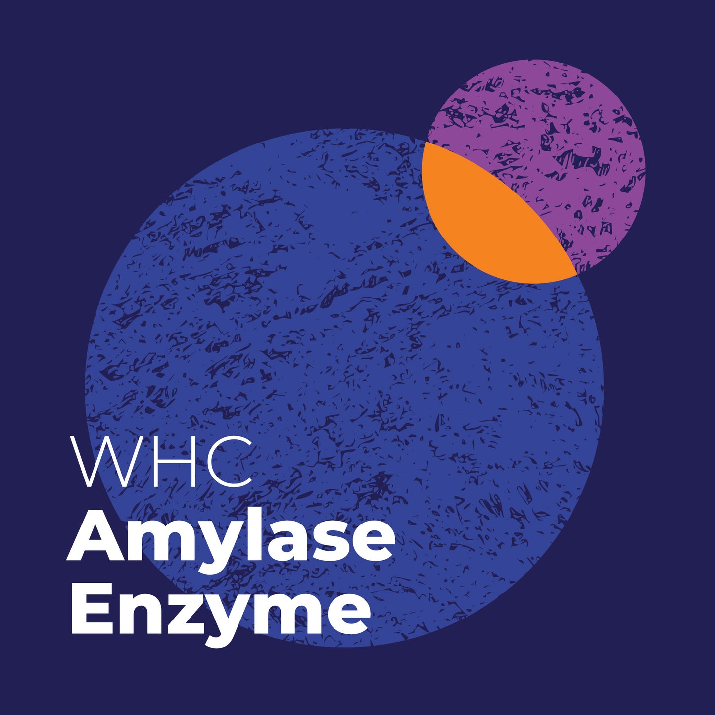 WHC Lab Amylase Enzyme