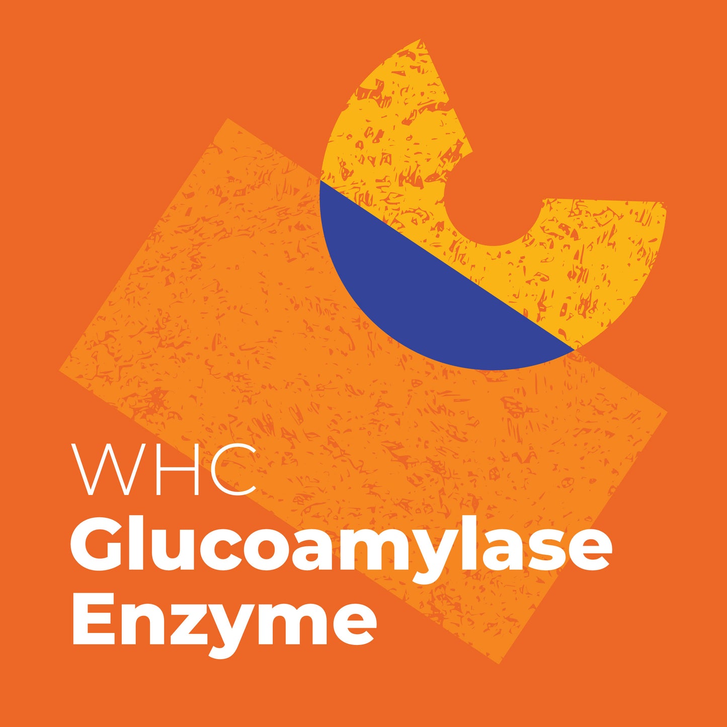 WHC Lab Glucoamylase Enzyme